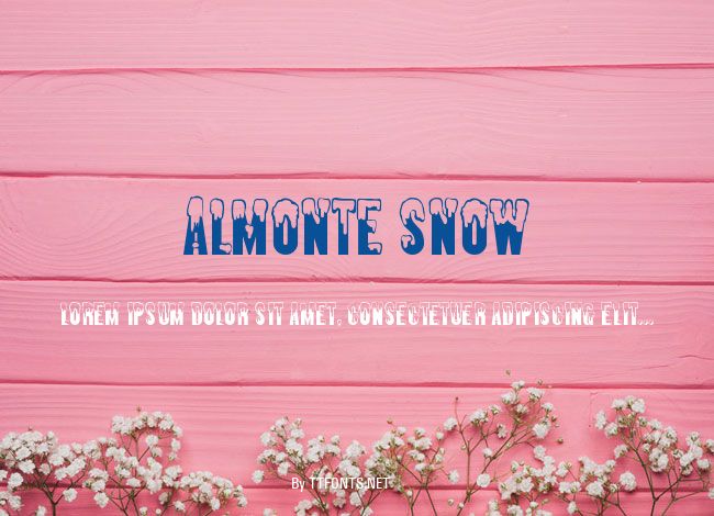 Almonte Snow example